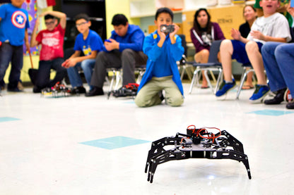 Hexapod